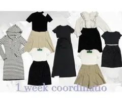 レディース まとめ売り 1週間コーデ 8点セット コーデ売り 春服 夏服