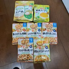 離乳食セット 7種類 WAKODO