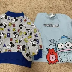 Item thumbnail for item 323c86d2-1a62-4072-974a-52ea9a311ecc