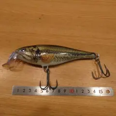 ラパラ　スーパーシャッドラップ　バスカラーのサムネイル