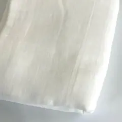 Item thumbnail for item aa571611-98d6-4872-93e7-bb0fb72d1fb7