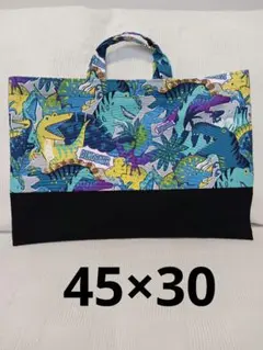 レッスンバッグ　通いバック　恐竜グレー&ブラック　45×30　b2