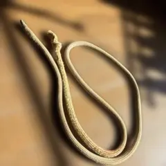 Item thumbnail for item 2439cf77-b31c-4c56-b5e0-710bc3c51420