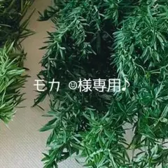 モカ ☺︎様専用ページです♪