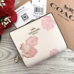 Item thumbnail for item 3359b329-2fdd-4a82-83f7-97e74723900c