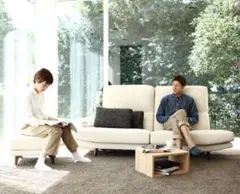 【ソファカバー】VISION CL用 オレオホワイト ファブリック FR-OWH Vision CL オットマン」 製品詳細ページ | 国産ソファブランド NOYES