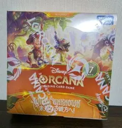 2026年最新】ロルカナ boxの人気アイテム - メルカリ