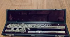 Item thumbnail for item 5cd82ff5-c3eb-4868-b4ca-0a8306717398