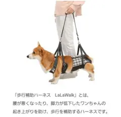 La La Walk ララウォーク チェックカーニバル 歩行補助ハーネス M
