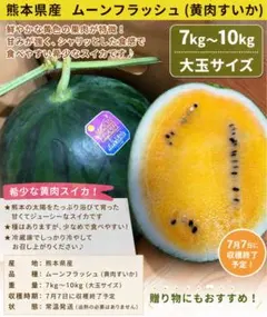 熊本県産 ムーンフラッシュ 黄肉すいか 7kg-10kgのサムネイル