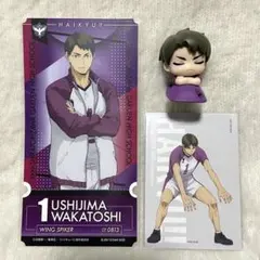 ハイキュー 牛島 チケットライクコレクション ベースヤードトーキョーおねむたん