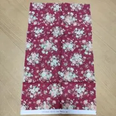 Item thumbnail for item 9c9af431-5b5e-4522-817d-89c2531e1319