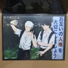 光が死んだ夏 blu-ray アニメイト全巻購入特典 8巻とらのあな特典