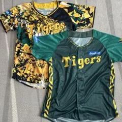 Item thumbnail for item 857737f1-8ddc-41f4-a897-a1e7fc6a8db2