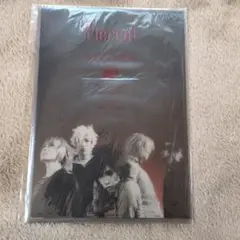 P.IDL 1st ANNIVERSARY EXPO! 2015 DVD - メルカリ