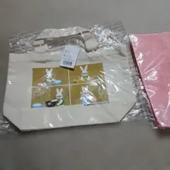 Item thumbnail for item 8e3a4a60-ce16-497f-ac77-ebe480644139