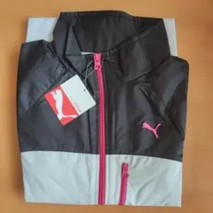 PUMA 上下ウィンドブレーカー Lサイズレディース