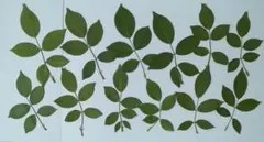 nana様 リクエスト 3点 まとめ商品