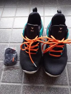 UNDER ARMOUR　プロジェクトロック5 305のサムネイル