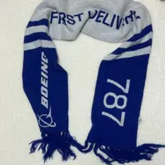 ANAボーイング787就航記念マフラー