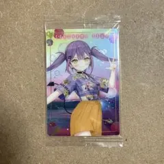 紅桜。経費削減します様 リクエスト 2点 まとめ商品