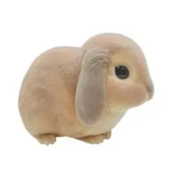 Item thumbnail for item fdd2af5c-36a3-4d01-9390-01d1c231af36