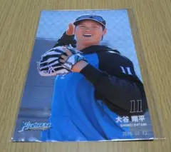 大谷翔平 2015 ハイライトフォト No.229 日本ハム 球団公式写真 - メルカリ