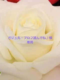 ガジュ丸・プロフ読んでね♪様専用（うさと再出品分）