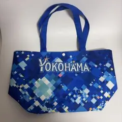 Item thumbnail for item f4f8b132-a93e-4f73-808e-7d497193b42f