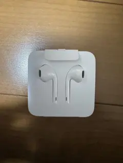 イヤホン Lightningケーブル