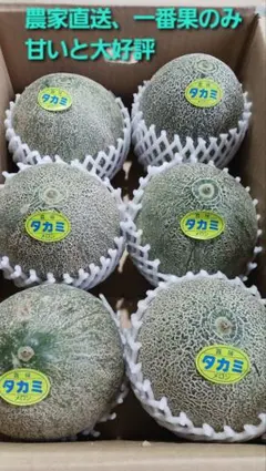 ◎タカミレッド+タカミ❪一番果❫約5キロ程度(箱込み)農家直送即購入大歓迎　赤肉 タカミレッド❪一番果❫約5キロ程度(箱込み)農家直送即購入大歓迎 赤肉