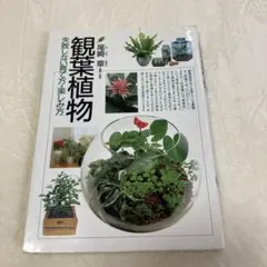 観葉植物 : 失敗しない育て方・楽しみ方