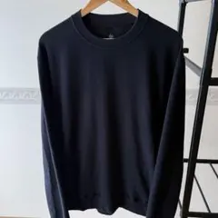 ブリッラペルイルグスト×gim クルーネック 長袖ニット シーアイランド