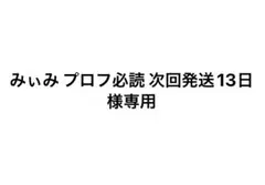 みぃみ プロフ必読 次回発送13日　様専用