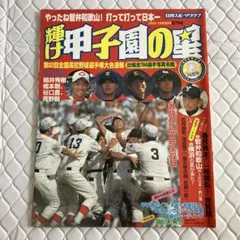 激レア】当時のJKによる新聞記事つき2006甲子園ハンカチ・マー輝け
