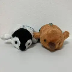 ペンギンアイランド スイミング VMC ぬいぐるみ　ひなちゃん　きんぐぼっちゃん