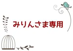 みりんさま専用