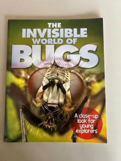 THE INVISIBLE WORLD OF BUGS