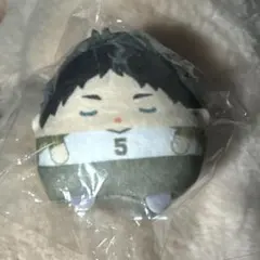 ハイキューぬいくじ ふわころりんてのりん ず梟谷赤葦E賞 ぬいぐるみ