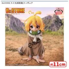 2026年最新】dr.stone フィギュア スイカの人気アイテム - メルカリ