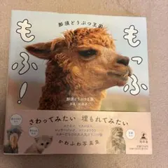 Item thumbnail for item 1039ff77-035c-48fe-adde-a3d324061e4e