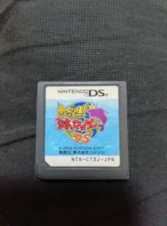 めざせ！釣りマスターDS　ニンテンドー　ソフト　任天堂