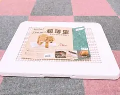 Item thumbnail for item ce2e5e15-adc3-45d7-8f78-24f3d5236772