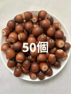 Item thumbnail for item deb1216c-dcd2-4c10-ab57-d369eda17854