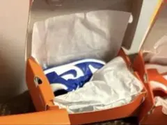 アッキー様専用 NIKE ダンクハイ ガチャガチャ