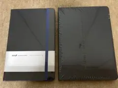 Item thumbnail for item 959abdcf-ea78-41b4-8ff4-0ee279980b17