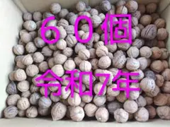 1 北海道(道北）鬼胡桃60個　令和７年採取のサムネイル