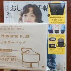 大人のおしゃれ手帖　付録のみ　ショルダーバッグ