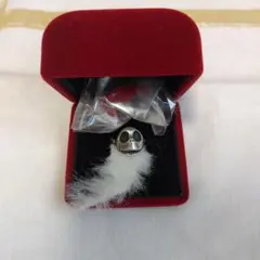 2026年最新】jap工房 ナイトメアの人気アイテム - メルカリ