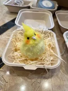 オカメインコ アートドール ぬいぐるみ 手乗りサイズ 完成品